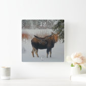 Wild kanadischer Elch im Winterschnee IV Quadratische Wanduhr (Zuhause)