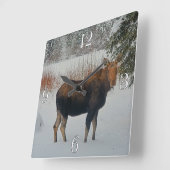 Wild kanadischer Elch im Winterschnee IV Quadratische Wanduhr (Winkel)