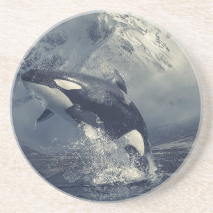 Wild Killer Whale Jumping Getränkeuntersetzer