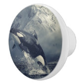 Wild Killer Whale Jumping Keramikknauf (Rechts)