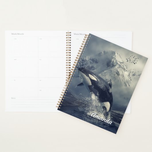 Wild Killer Whale Jumping Planer (Anzeige)