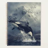 Wild Killer Whale Jumping Planer (Vorderseite)