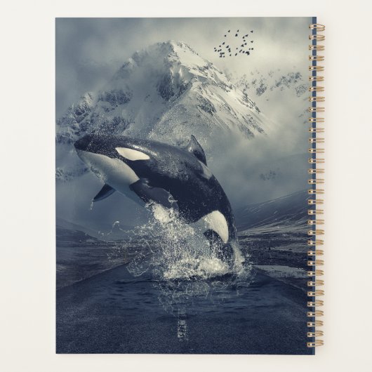 Wild Killer Whale Jumping Planer (Rückseite)