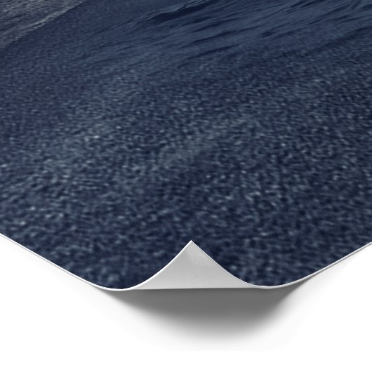 Wild Killer Whale Jumping Poster (Ecke)