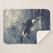 Wild Killer Whale Jumping Sherpadecke (Vorderseite (Horizontal))