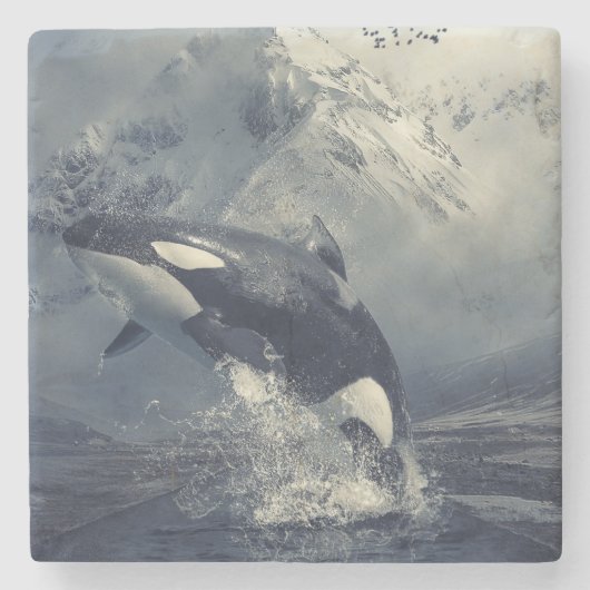 Wild Killer Whale Jumping Steinuntersetzer (Vorderseite)