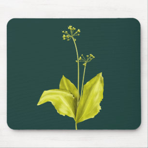 Wild-Knoblauch-Grüne Pflanze Natur Lover Botanist Mousepad