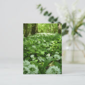 Wild-Knoblauch-Woodland Postkarte (Stehend Vorderseite)