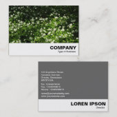 Wild Knolic Visitenkarte (Vorne/Hinten)