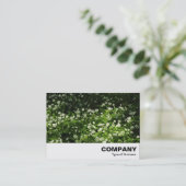 Wild Knolic Visitenkarte (Stehend Vorderseite)