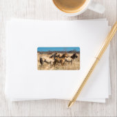 Wild Konik ponies Wicken Fen Cambridgeshire UK Adressaufkleber (Insitu)