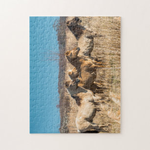 Wild Konik ponies Wicken Fen Cambridgeshire UK Puzzle