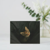 Wild L. Postkarte (Stehend Vorderseite)