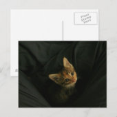 Wild L. Postkarte (Vorne/Hinten)