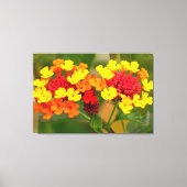 WILD LANTANA 32 x 48 Leinwanddruck (Vorderseite)