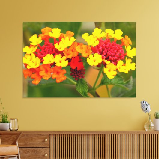 WILD LANTANA 32 x 48 Leinwanddruck (Insitu (Wohnzimmer))