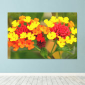 WILD LANTANA 32 x 48 Leinwanddruck (Insitu (Holzboden))