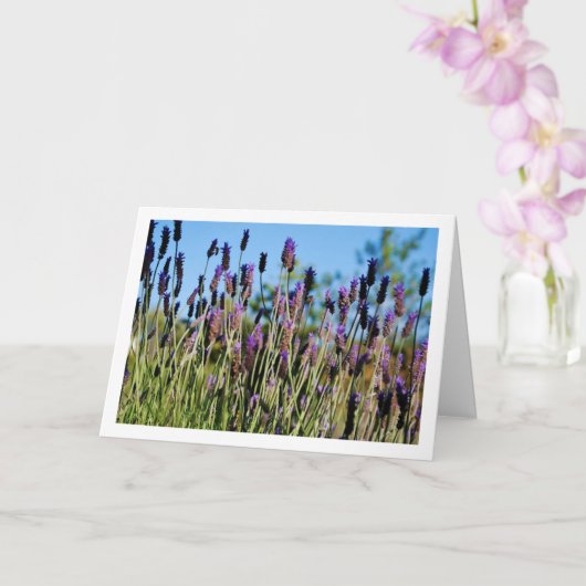 Wild Lavender Blue Sky Karte (Orchidee)