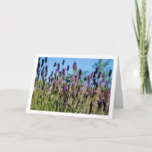 Wild Lavender Blue Sky Karte (Vorderseite)