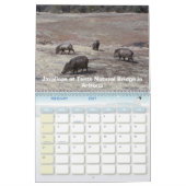 Wild lebende Tiere 2007 Kalender (Feb 2027)