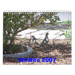 Wild lebende Tiere 2007 Kalender