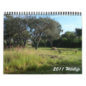 Wild lebende Tiere 2011 Kalender (Titelbild)