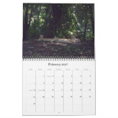 Wild lebende Tiere 2011 Kalender (Feb 2027)