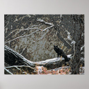 Wild lebende Tiere 8 cmyk Poster