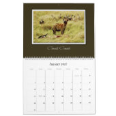wild lebende Tiere Afrika-Safarikalender 2010 Kalender (Jan 2027)