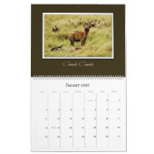 wild lebende Tiere Afrika-Safarikalender 2010 Kalender (Jan 2026)