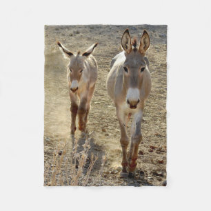 Wild lebende Tiere, Fleecedecke, wilde Burros, Fleecedecke
