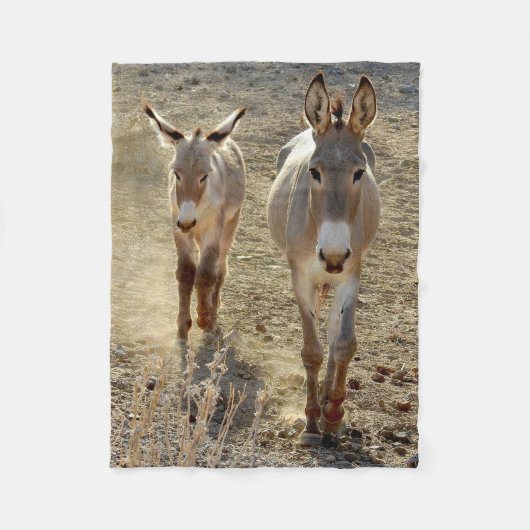 Wild lebende Tiere, Fleecedecke, wilde Burros, Fleecedecke (Vorderseite)