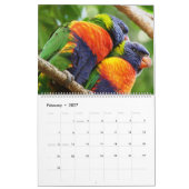Wild lebende Tiere in Nerang 2016 Kalender (Feb 2027)