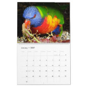 Wild lebende Tiere in Nerang 2016 Kalender (Jan 2027)