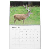 Wild lebende Tiere Kalender (Feb 2027)