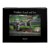 wild lebende Tiere Kalender - 2012 (Titelbild)