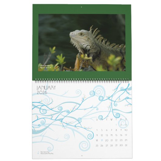 wild lebende Tiere Kalender - 2012 (Jan 2026)