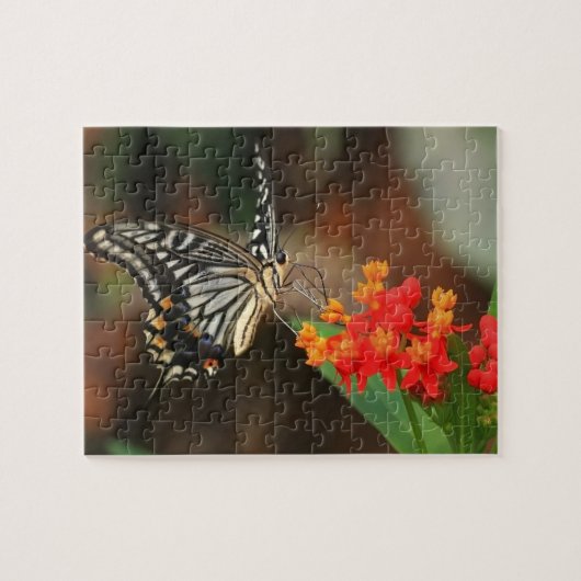 Wild lebende Tiere Puzzlespiel-Schmetterling Puzzle (Horizontal)