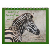 Wild lebende Tiere von Südafrika-Kalender Kalender (Titelbild)