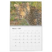 Wild lebende Tiere von Südafrika-Kalender Kalender (Feb 2027)