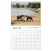 WILD LEBENDE TIERE von südlichem u. von Ostafrika Kalender (Feb 2027)