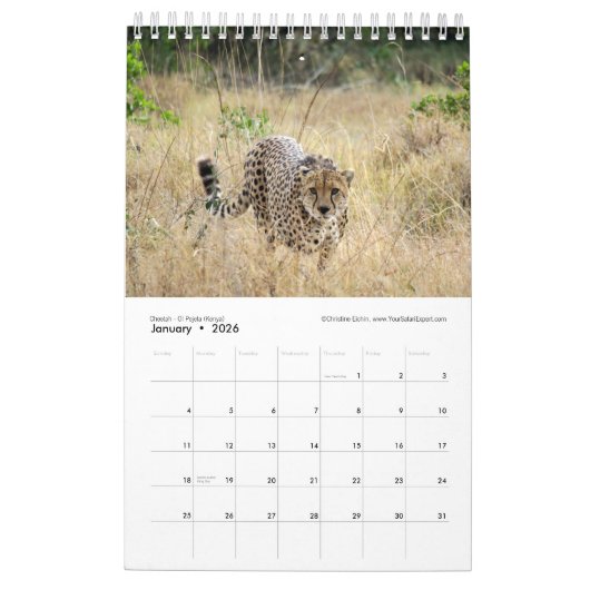 WILD LEBENDE TIERE von südlichem u. von Ostafrika Kalender (Jan 2026)