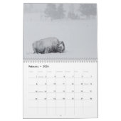 Wild lebende Tiere von Yellowstone Kalender (Feb 2026)