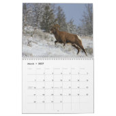 Wild lebende Tiere von Yellowstone Kalender (Mär 2027)