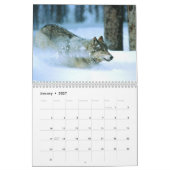 Wild lebende Tiere von Yellowstone Kalender (Jan 2027)