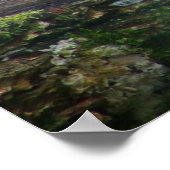 Wild lebender Leopard, der auf dem Baumlog liegt Poster (Ecke)