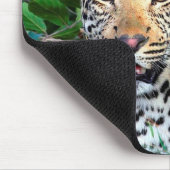 Wild Leopard in Afrika Mousepad (Ecke)