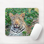 Wild Leopard in Afrika Mousepad (Mit Mouse)