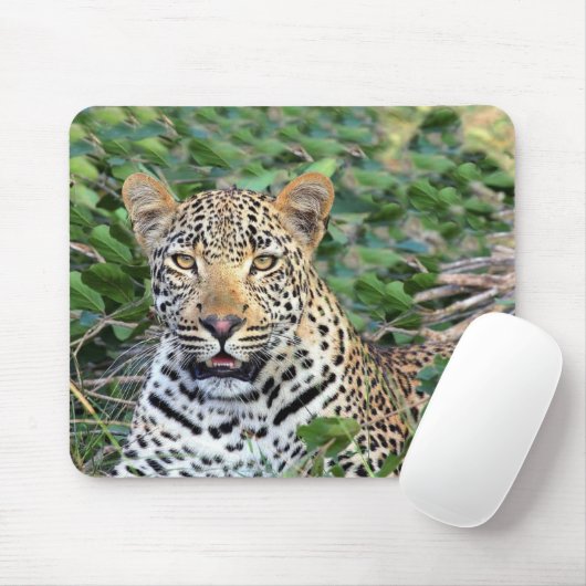 Wild Leopard in Afrika Mousepad (Mit Mouse)