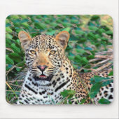 Wild Leopard in Afrika Mousepad (Vorne)